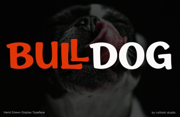 Bulldog Typeface: A Bold Display Font for Web Headers
